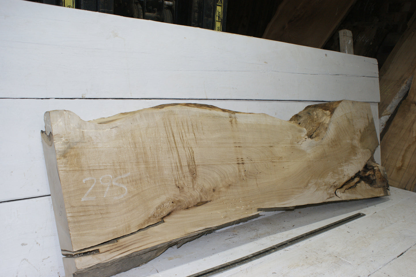 Hornbeam plank, 1395 L x 402 - 266 W x 75 D (mm) hardwood board (295)