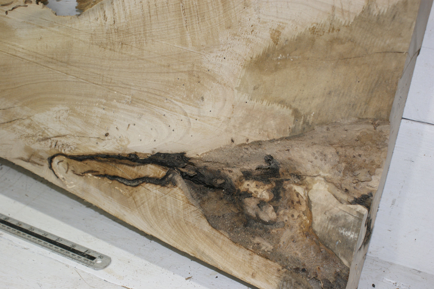 Hornbeam plank, 1395 L x 402 - 266 W x 75 D (mm) hardwood board (295)