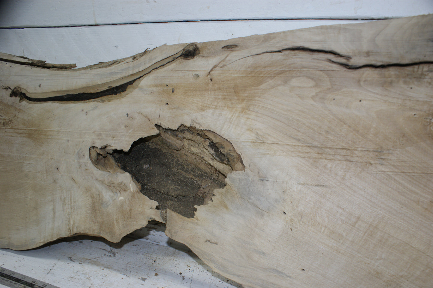 Hornbeam plank, 1395 L x 402 - 266 W x 75 D (mm) hardwood board (295)
