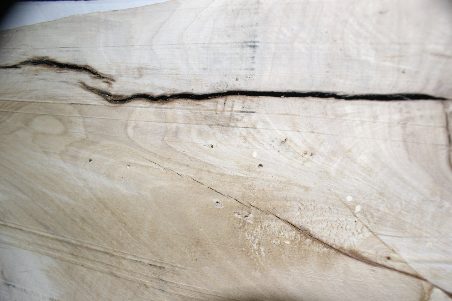 Hornbeam plank, 1395 L x 402 - 266 W x 75 D (mm) hardwood board (295)