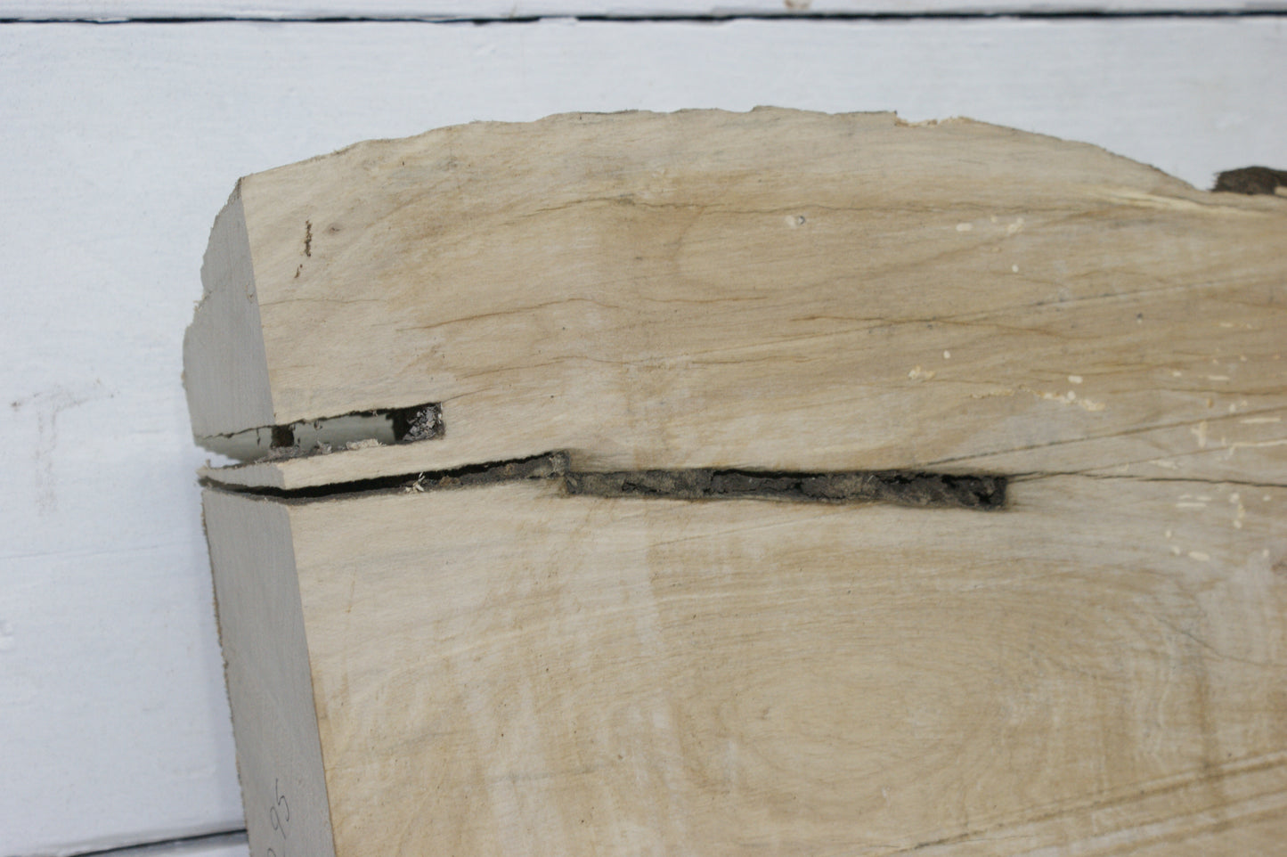 Hornbeam plank, 1395 L x 402 - 266 W x 75 D (mm) hardwood board (295)