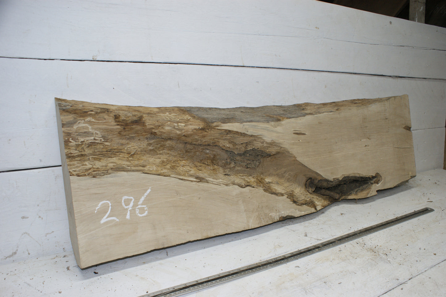 Hornbeam plank, 1198 L x 333 - 310 W x 85 D (mm) hardwood board (296)