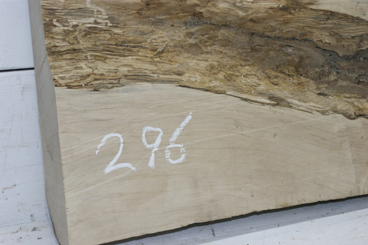 Hornbeam plank, 1198 L x 333 - 310 W x 85 D (mm) hardwood board (296)