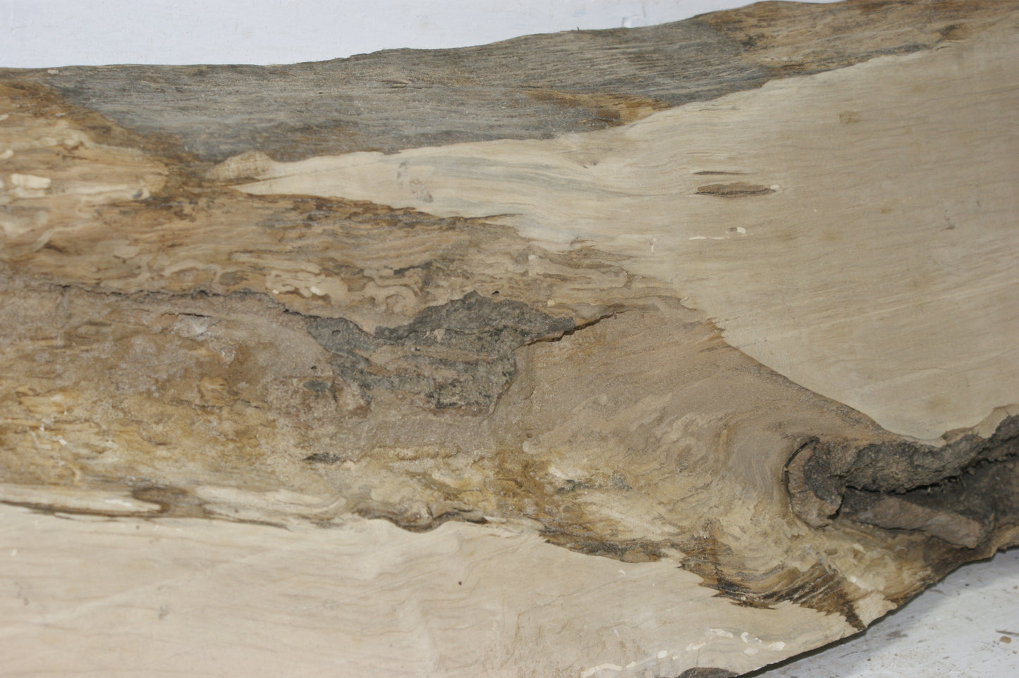 Hornbeam plank, 1198 L x 333 - 310 W x 85 D (mm) hardwood board (296)