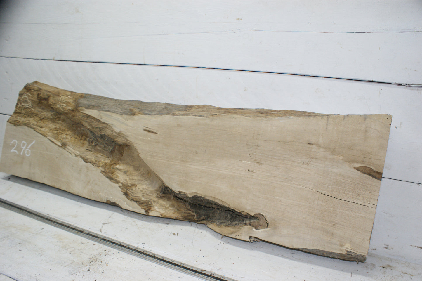 Hornbeam plank, 1198 L x 333 - 310 W x 85 D (mm) hardwood board (296)