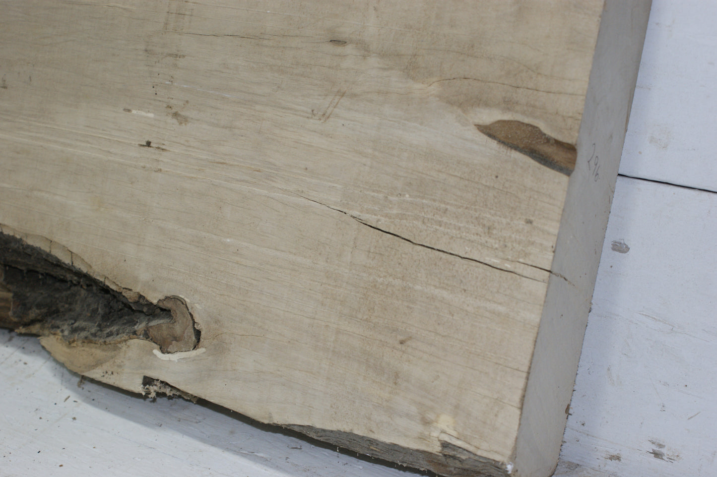 Hornbeam plank, 1198 L x 333 - 310 W x 85 D (mm) hardwood board (296)