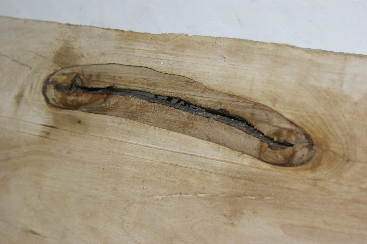 Hornbeam plank, 1198 L x 333 - 310 W x 85 D (mm) hardwood board (296)