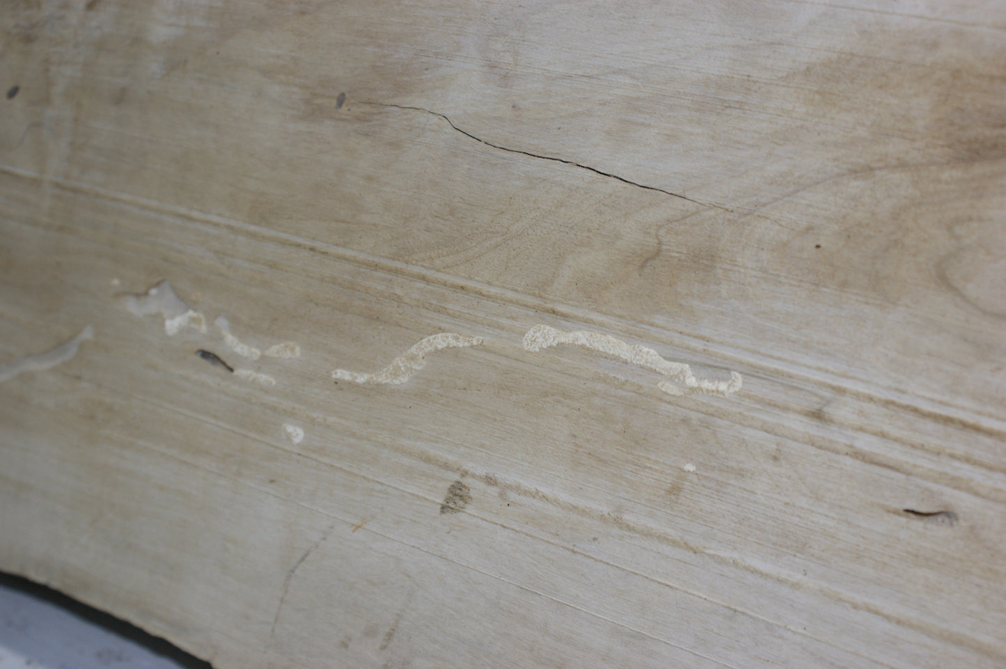 Hornbeam plank, 1198 L x 333 - 310 W x 85 D (mm) hardwood board (296)