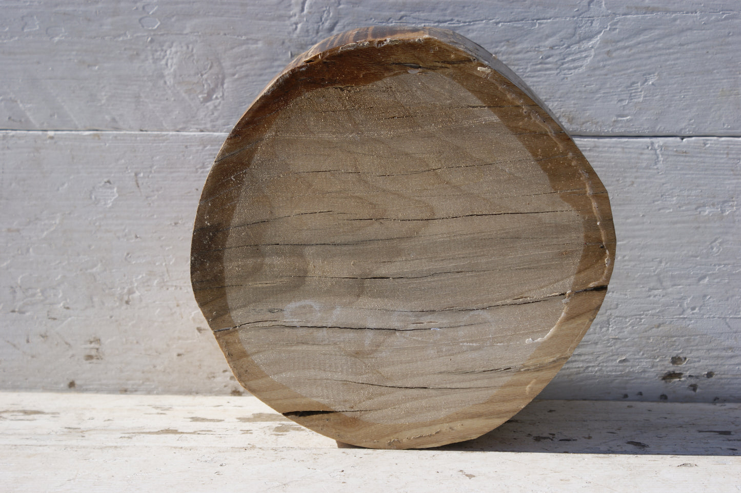 B Grade 10" x 4 1/2" London plane wood turning blank (351)
