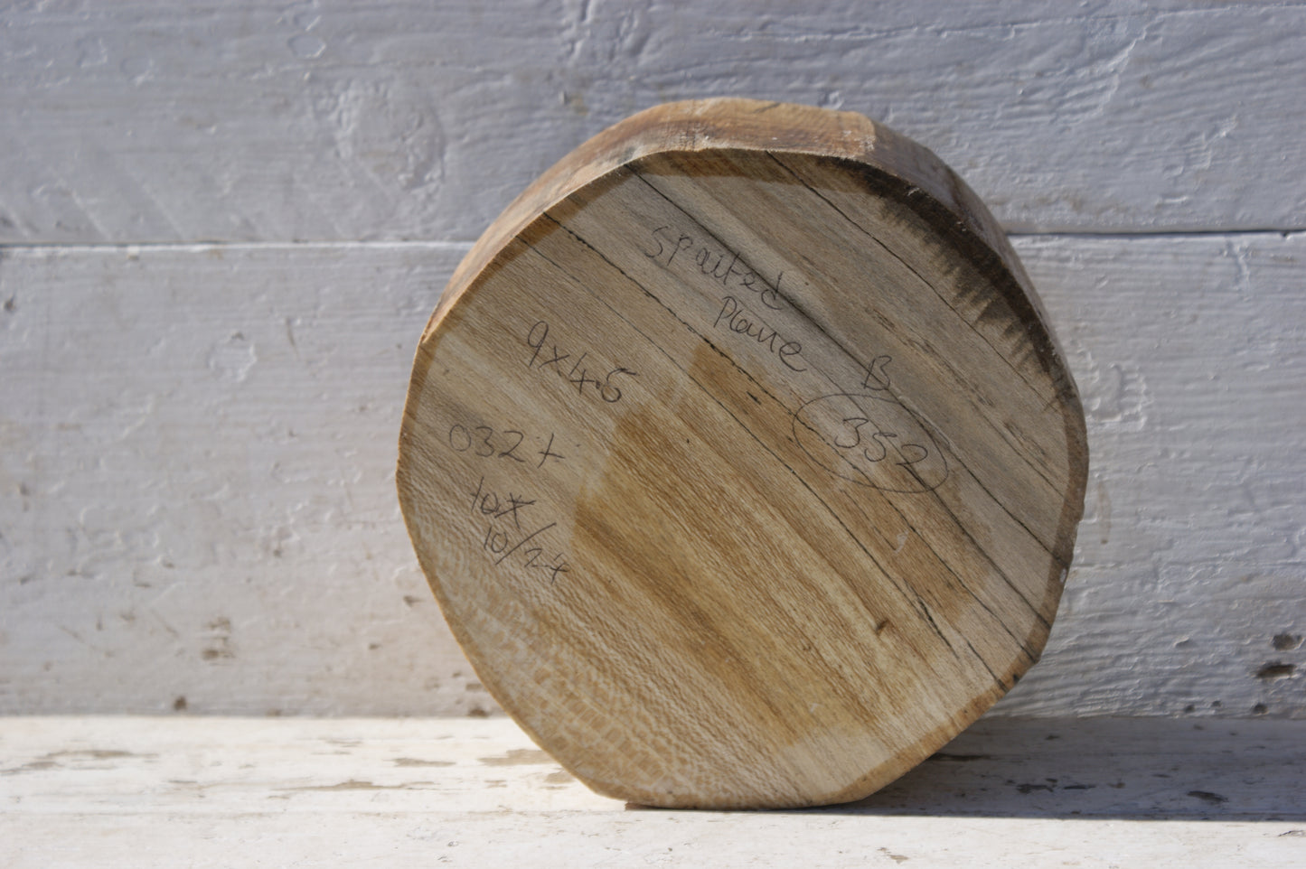 B Grade 9" x 4 1/2" London plane wood turning blank (352)