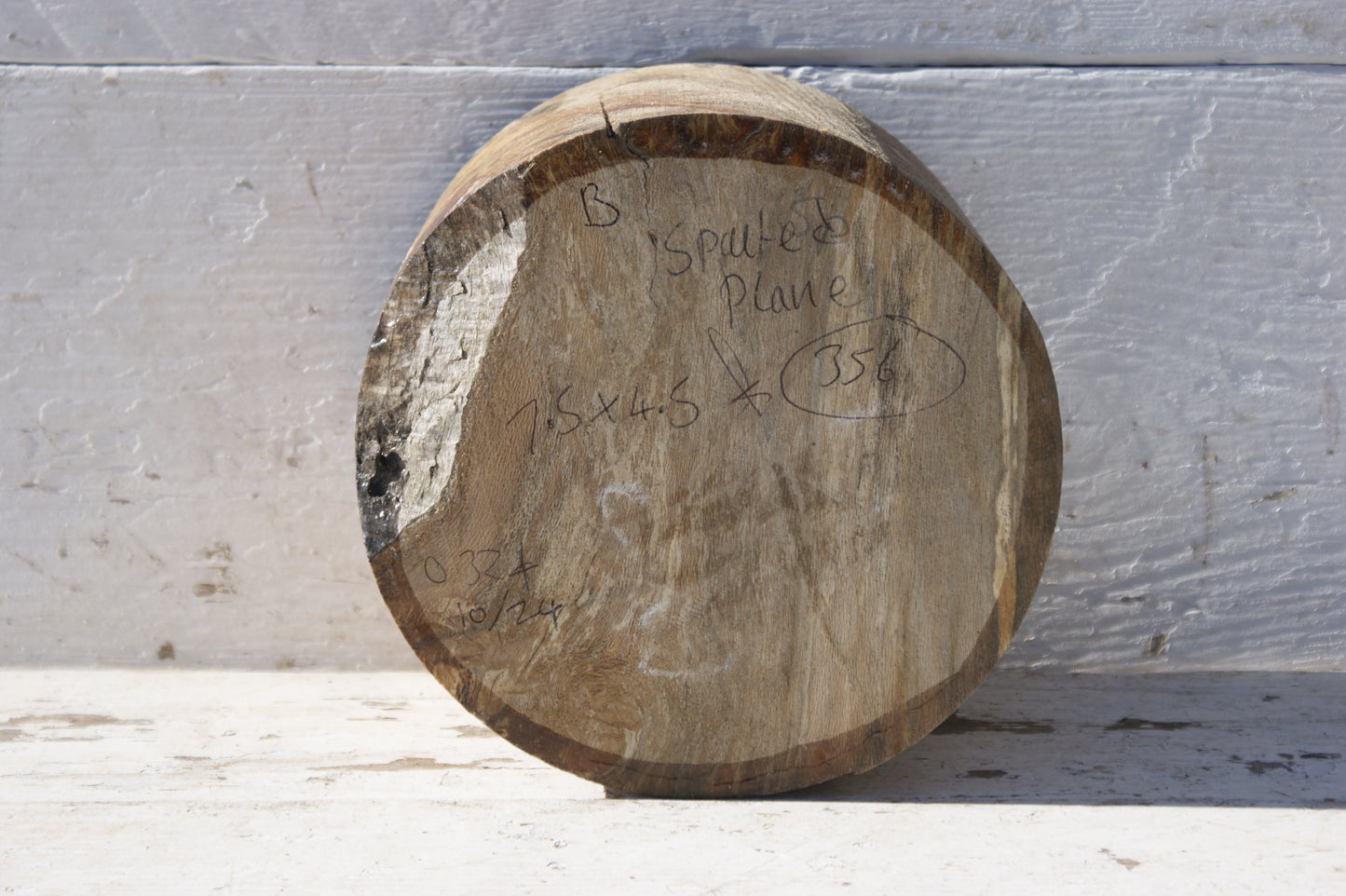 B Grade 7 1/2" x 4 1/2" London plane wood turning blank (356)