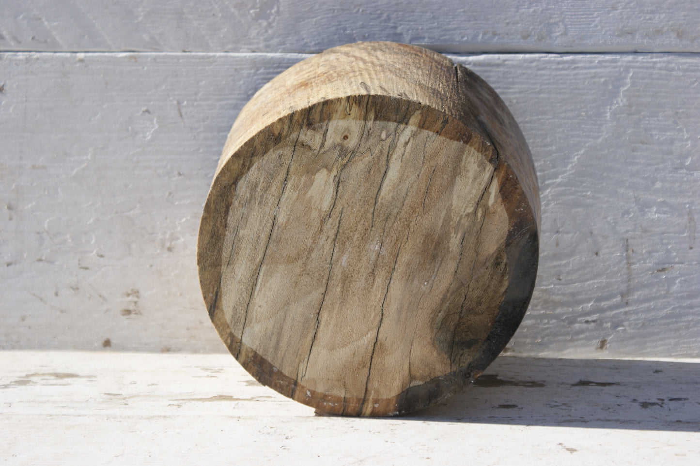 B Grade 7 1/2" x 4 1/2" London plane wood turning blank (356)