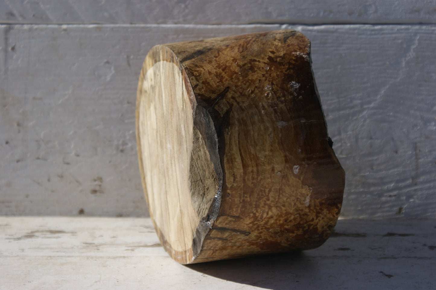 B Grade 7 1/2" x 4 1/2" London plane wood turning blank (356)