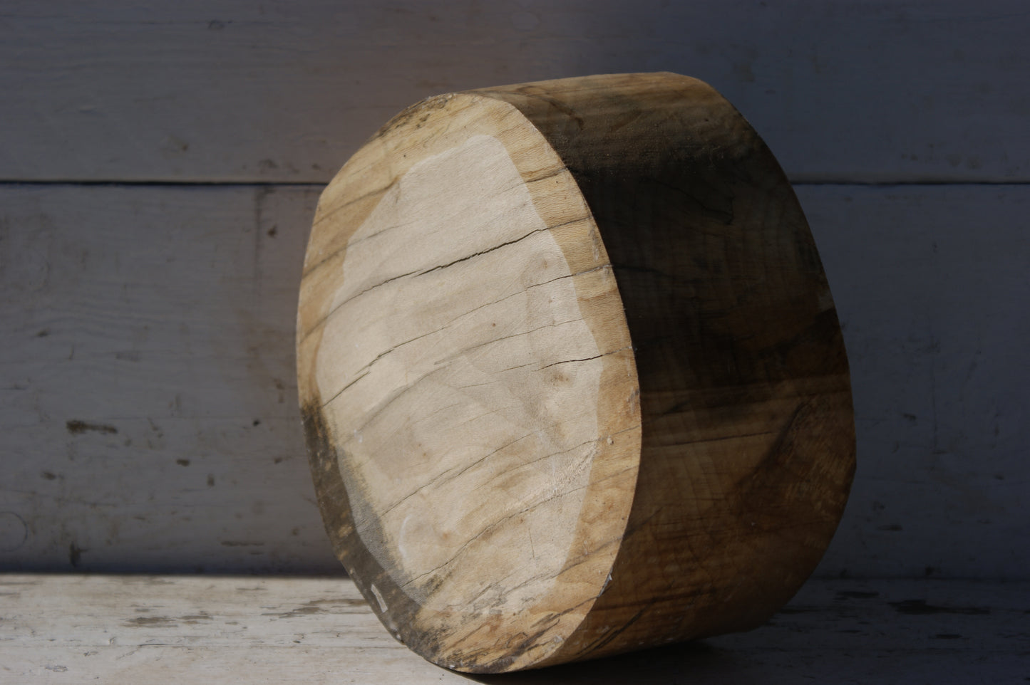 B Grade 9 1/2" x 5" Spalted London plane wood turning blank (363)