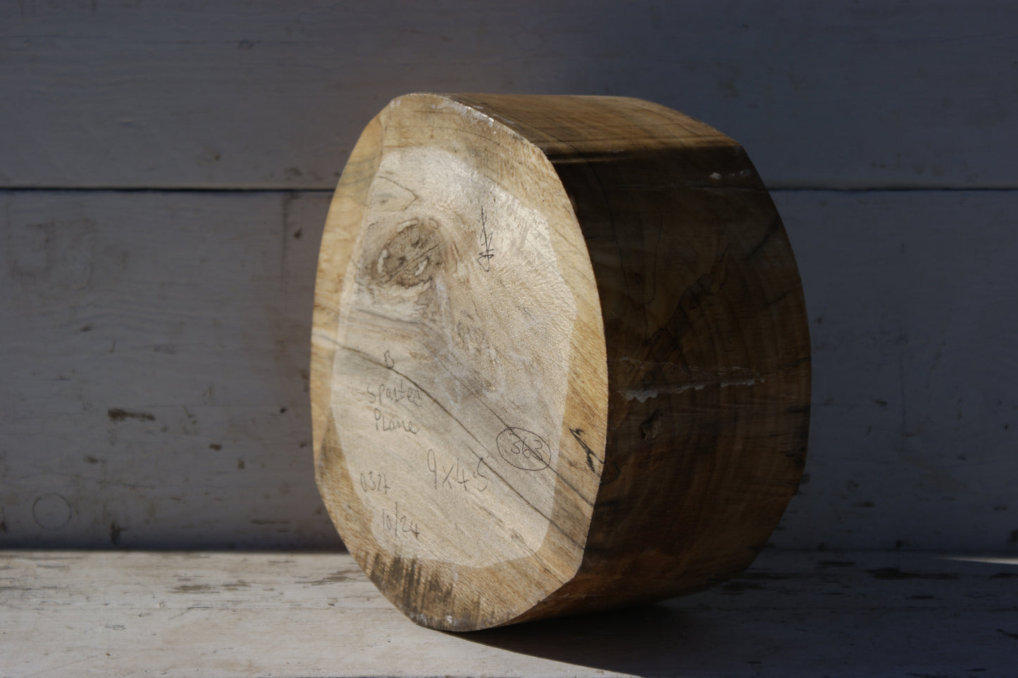 B Grade 9 1/2" x 5" Spalted London plane wood turning blank (363)
