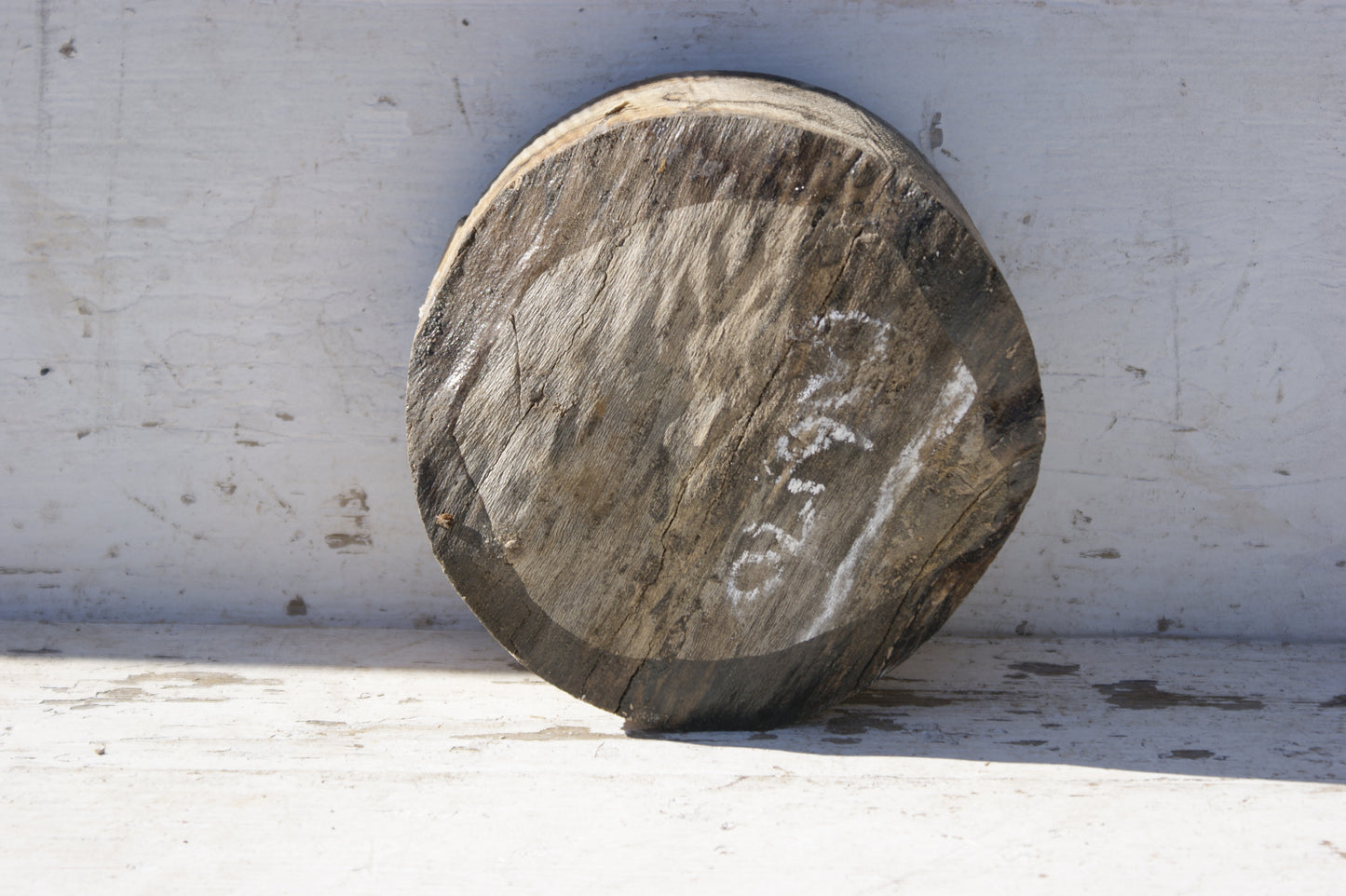 B Grade 6" x 3" Spalted London plane wood turning blank (366)