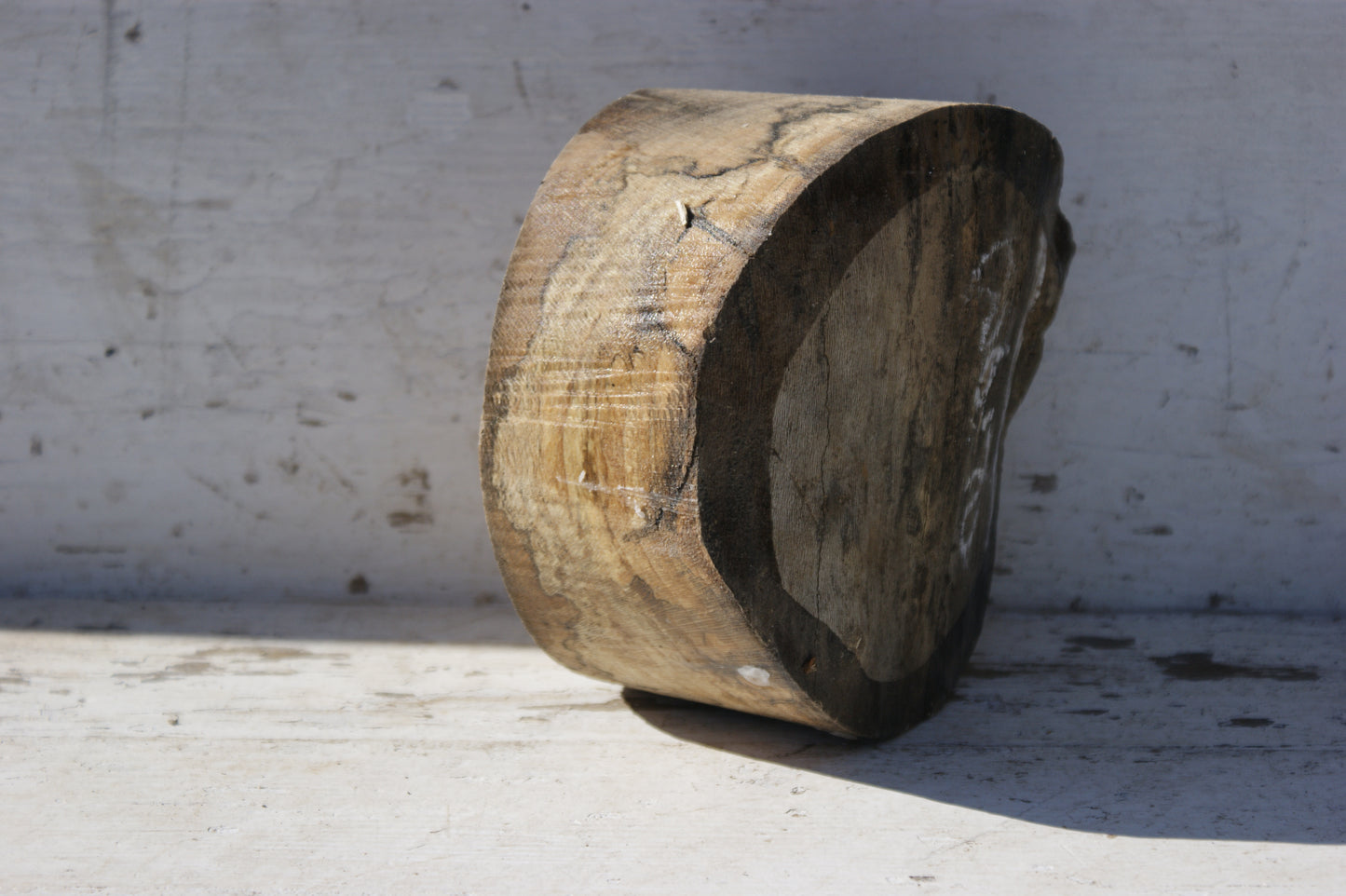 B Grade 6" x 3" Spalted London plane wood turning blank (366)