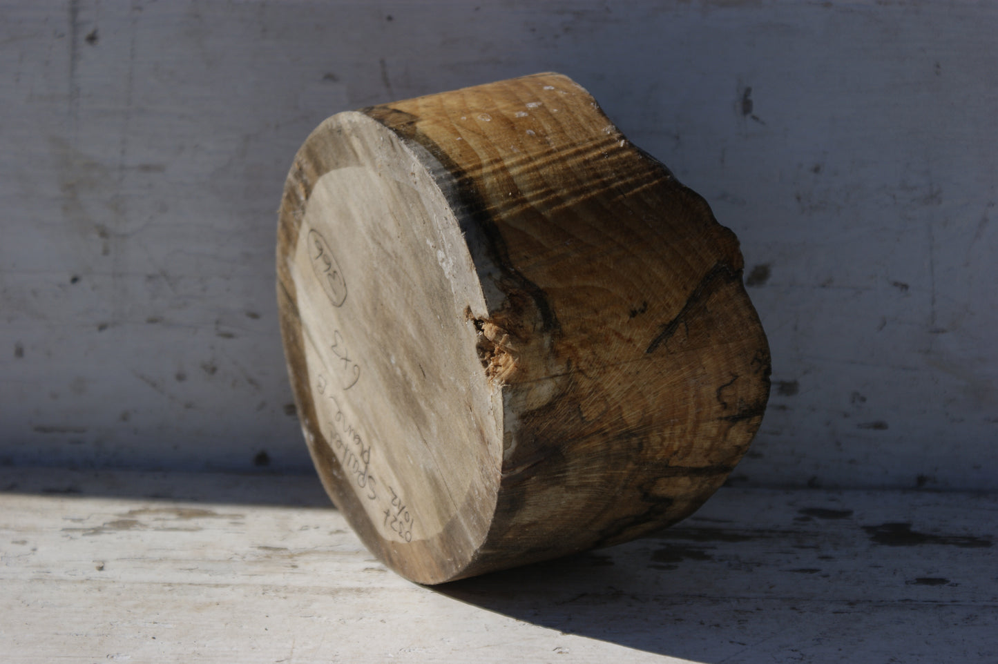 B Grade 6" x 3" Spalted London plane wood turning blank (366)