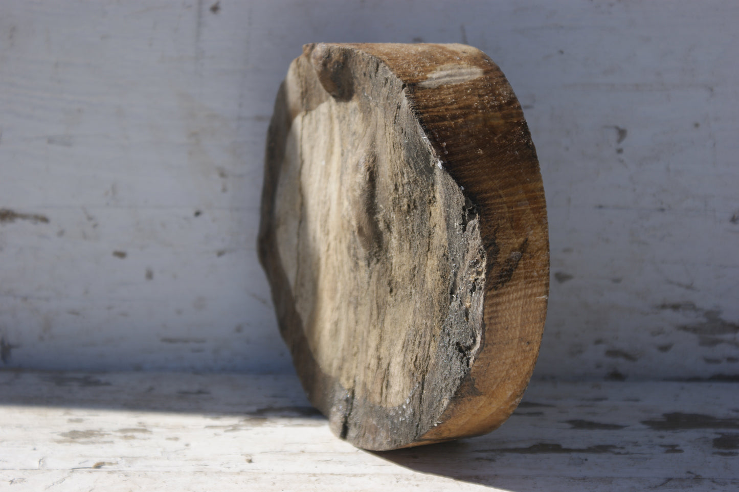 B Grade 6" x 1 " Spalted London plane wood turning blank (368)