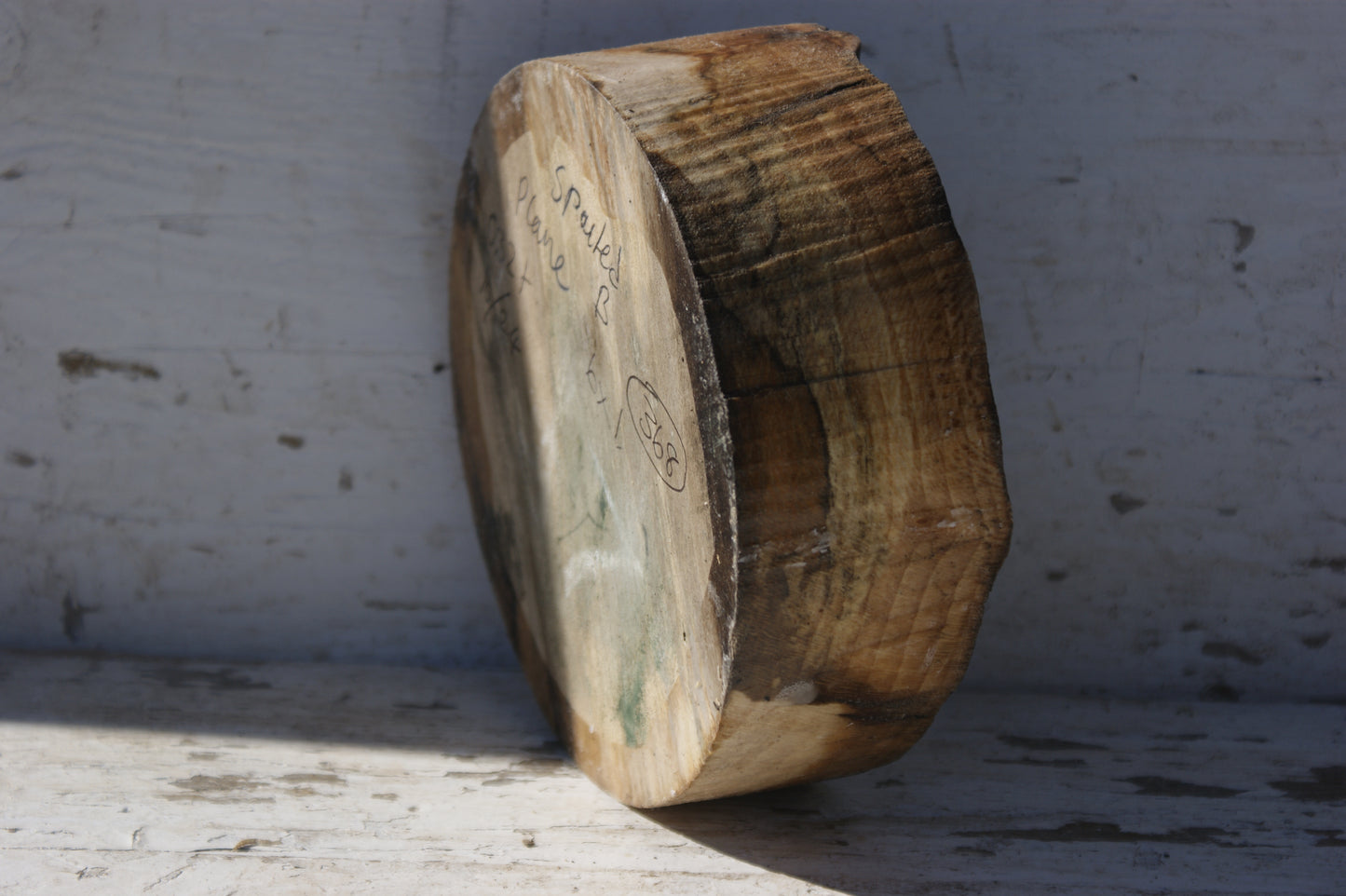 B Grade 6" x 1 " Spalted London plane wood turning blank (368)