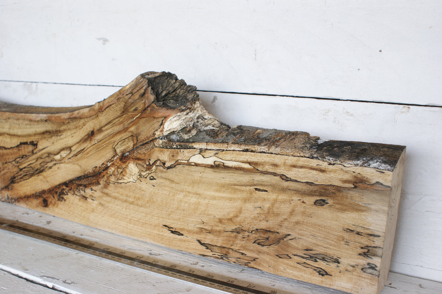(434) SPALTED BEECH, HARDWOOD 1204 L x 190 - 137 W x 49 D (mm)
