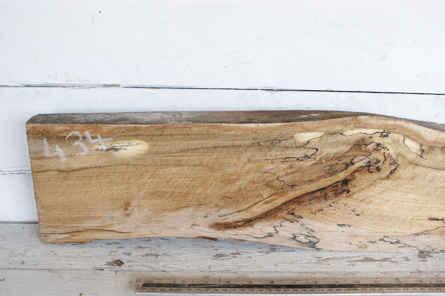 (434) SPALTED BEECH, HARDWOOD 1204 L x 190 - 137 W x 49 D (mm)