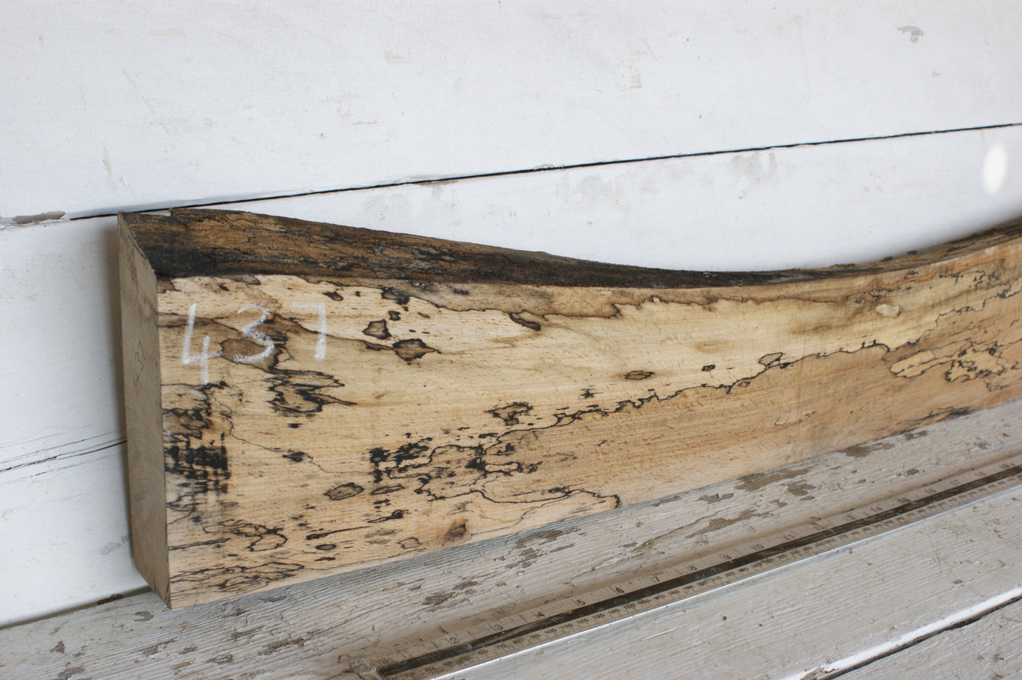 (437) SPALTED BEECH, HARDWOOD 1138 L x 180 - 105 W x 50 D (mm)