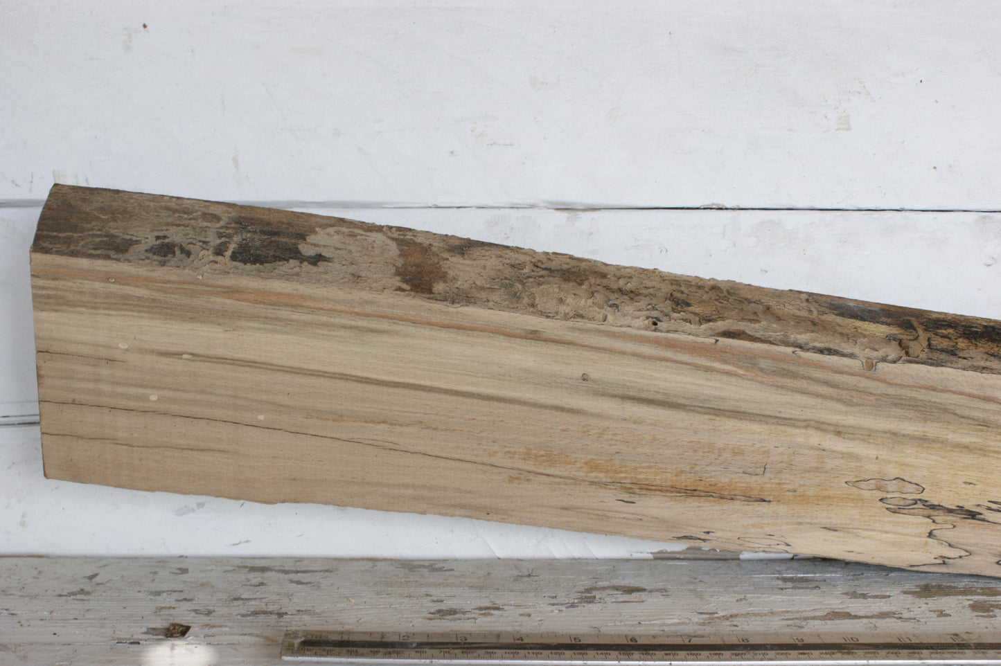(437) SPALTED BEECH, HARDWOOD 1138 L x 180 - 105 W x 50 D (mm)