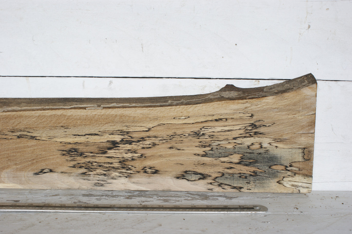 (440) SPALTED BEECH, HARDWOOD 1208 L x 207 - 149 W x 37 D (mm)