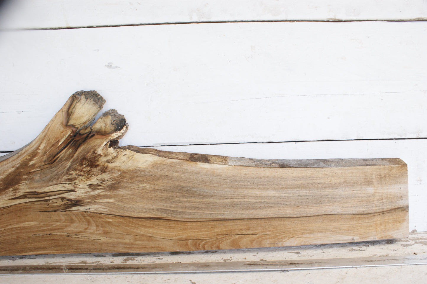 (453) SPALTED BEECH, HARDWOOD 1008 L x 279 - 119 W x 34 D (mm)