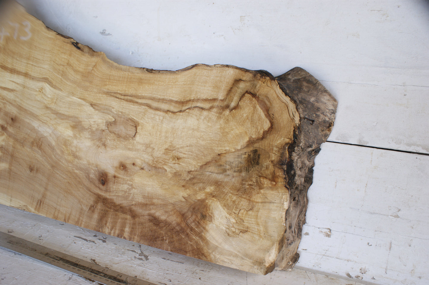 (473) AIR DRIED SYCAMORE, HARDWOOD 608 L x 420-264 W x 64 D (mm)