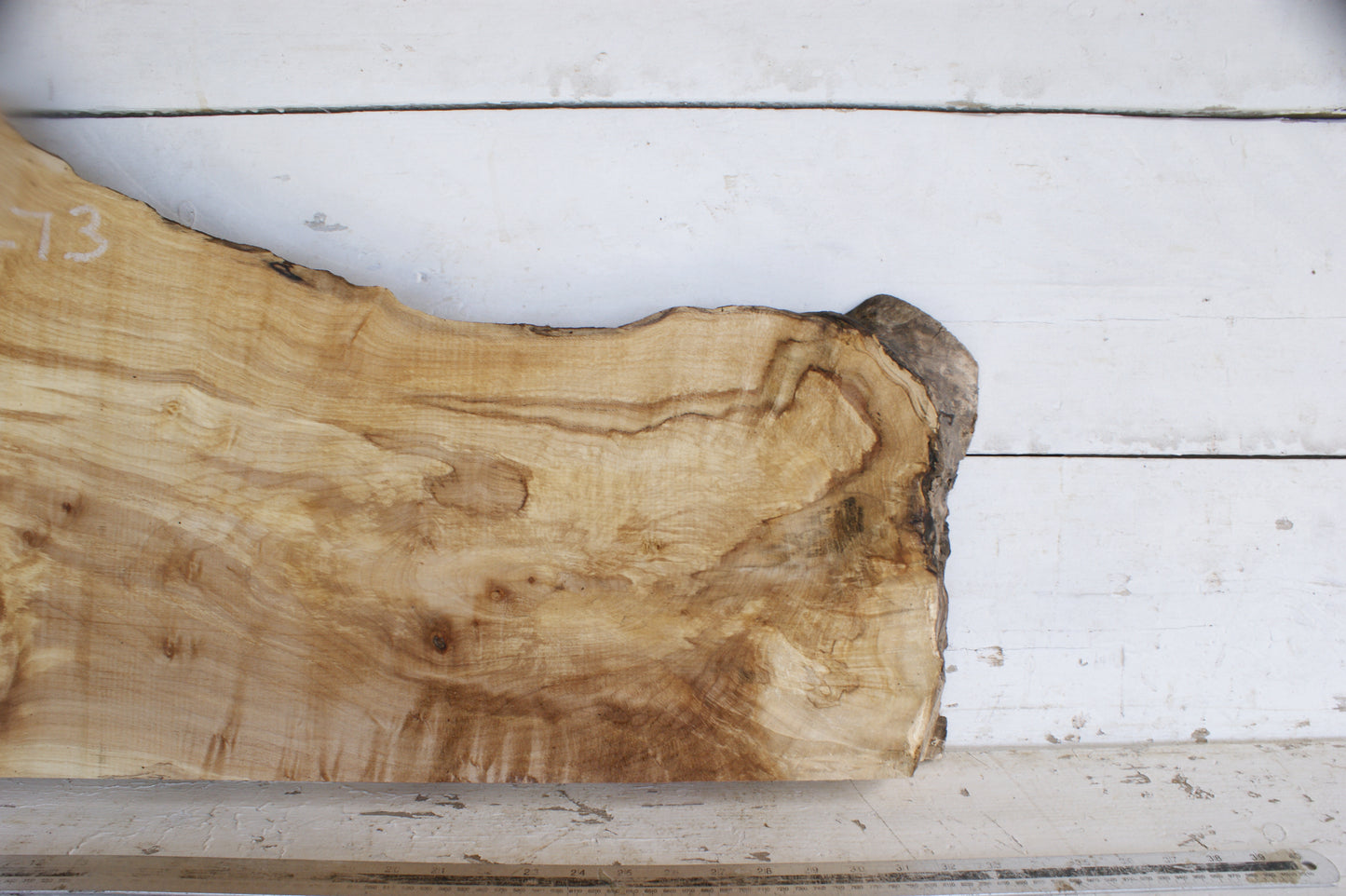 (473) AIR DRIED SYCAMORE, HARDWOOD 608 L x 420-264 W x 64 D (mm)