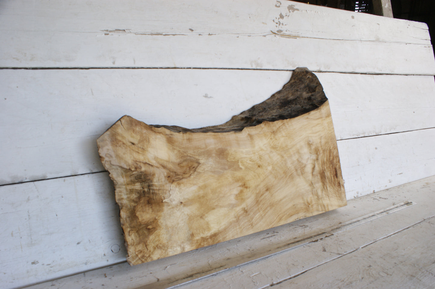(473) AIR DRIED SYCAMORE, HARDWOOD 608 L x 420-264 W x 64 D (mm)