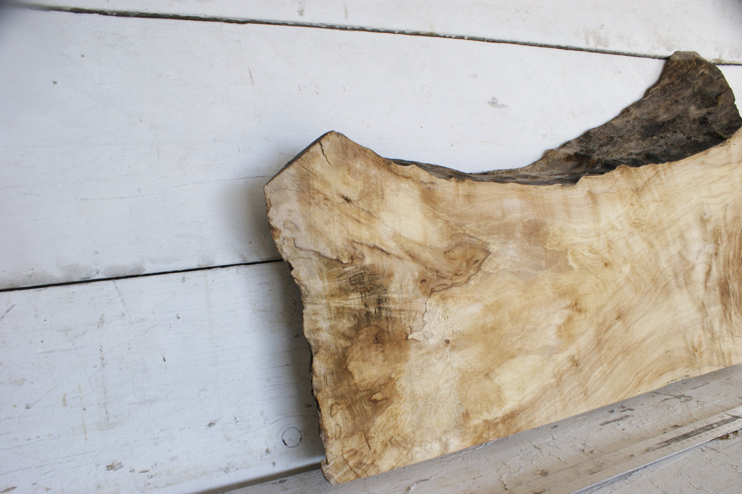 (473) AIR DRIED SYCAMORE, HARDWOOD 608 L x 420-264 W x 64 D (mm)