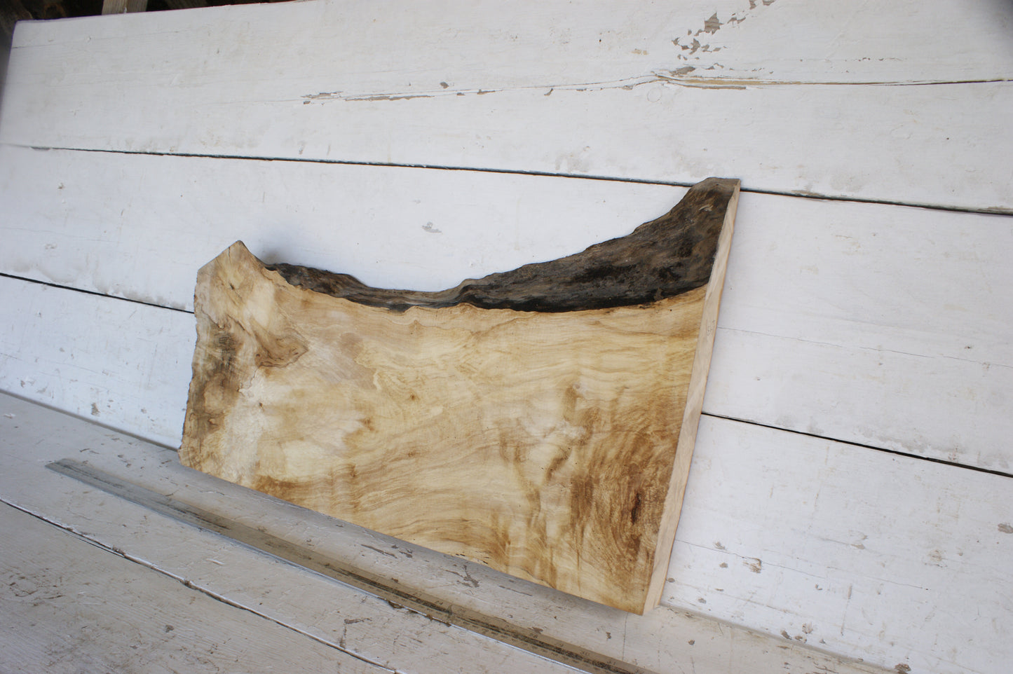 (473) AIR DRIED SYCAMORE, HARDWOOD 608 L x 420-264 W x 64 D (mm)