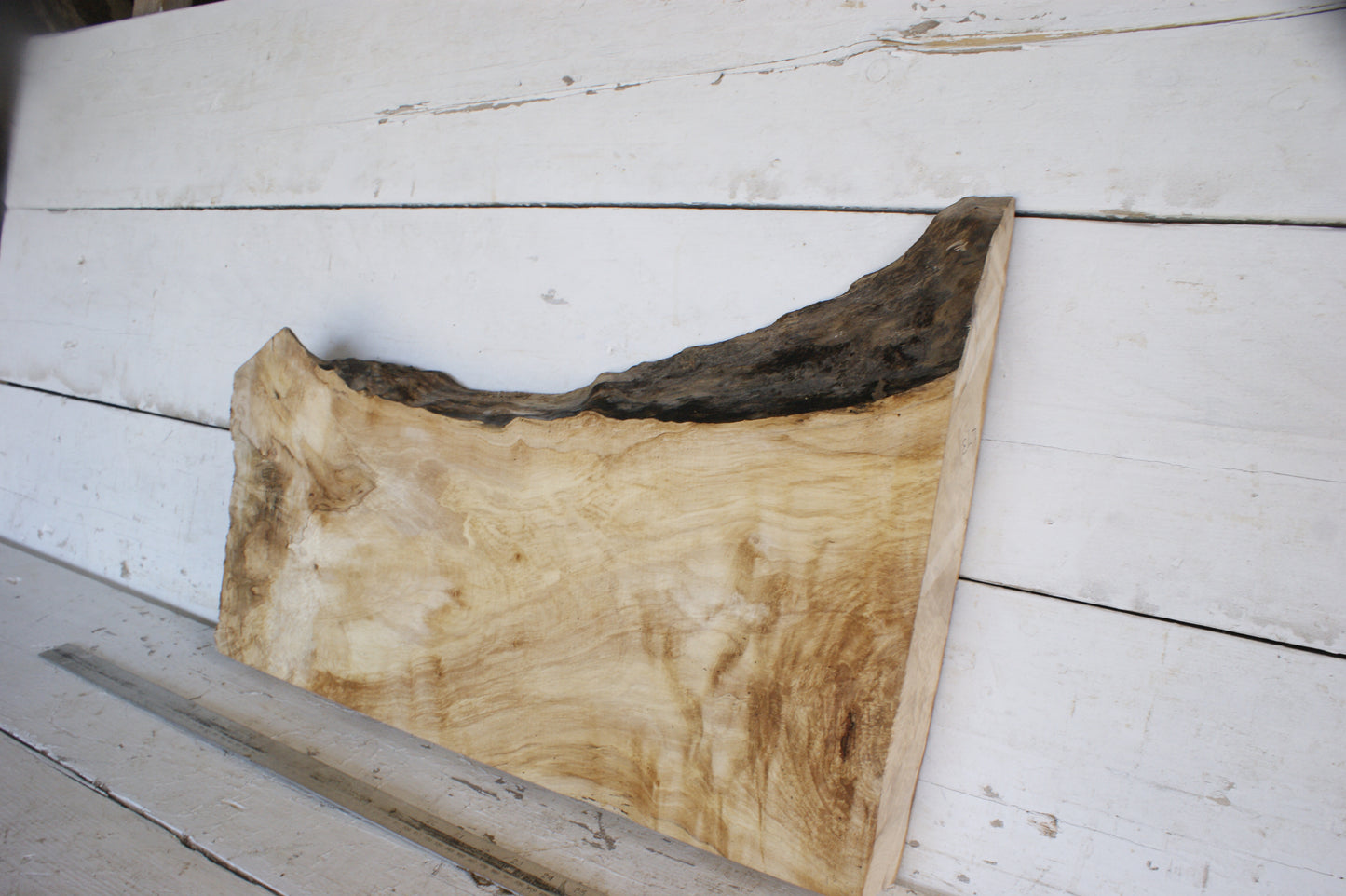 (473) AIR DRIED SYCAMORE, HARDWOOD 608 L x 420-264 W x 64 D (mm)