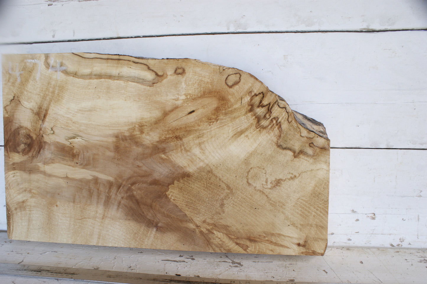 (474) AIR DRIED SYCAMORE, HARDWOOD 628 L x 372-241 W x 62 D (mm)