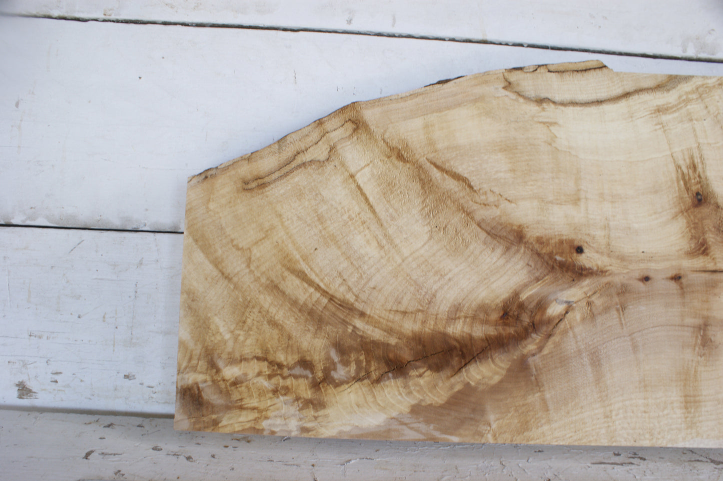 (474) AIR DRIED SYCAMORE, HARDWOOD 628 L x 372-241 W x 62 D (mm)