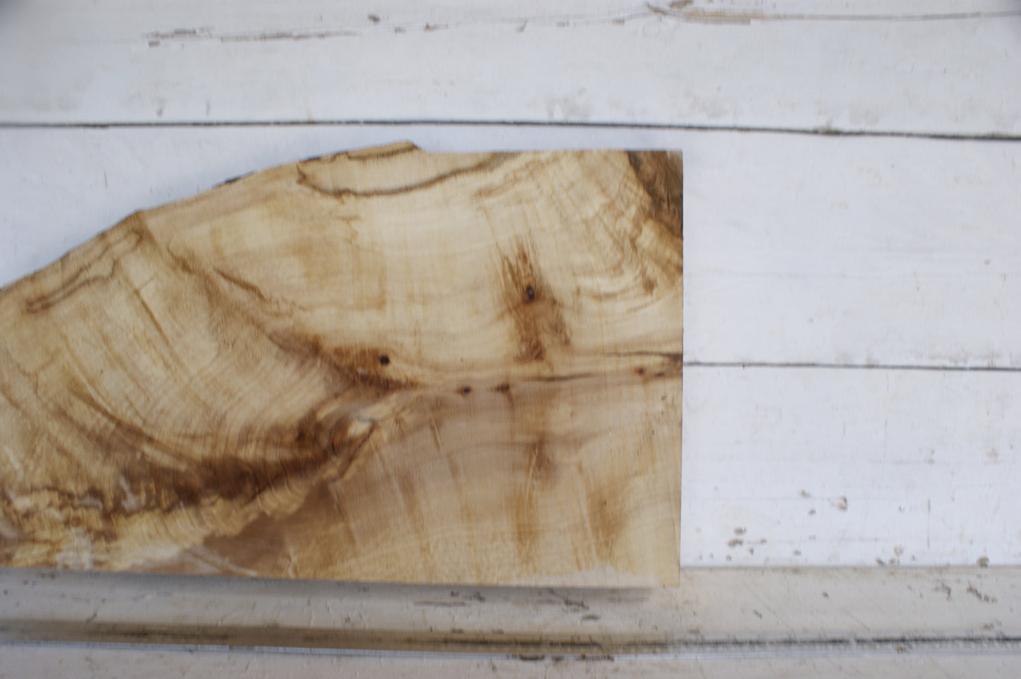 (474) AIR DRIED SYCAMORE, HARDWOOD 628 L x 372-241 W x 62 D (mm)