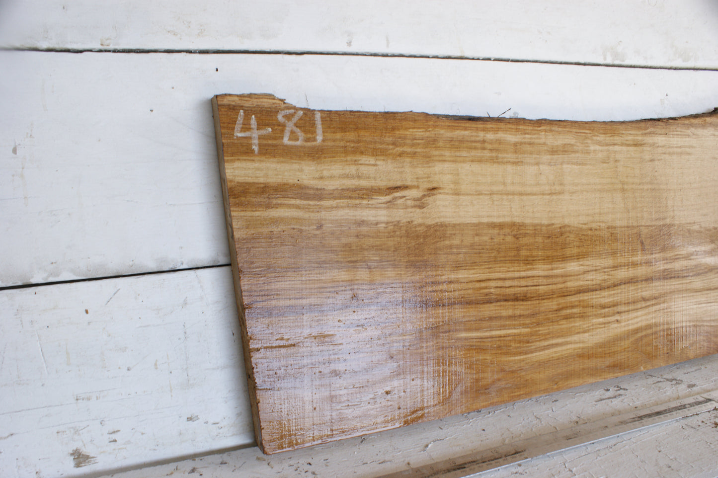 (481) AIR DRIED ENGLISH OAK, HARD WOOD 909 L x 354 - 331 W x 42 D (mm)