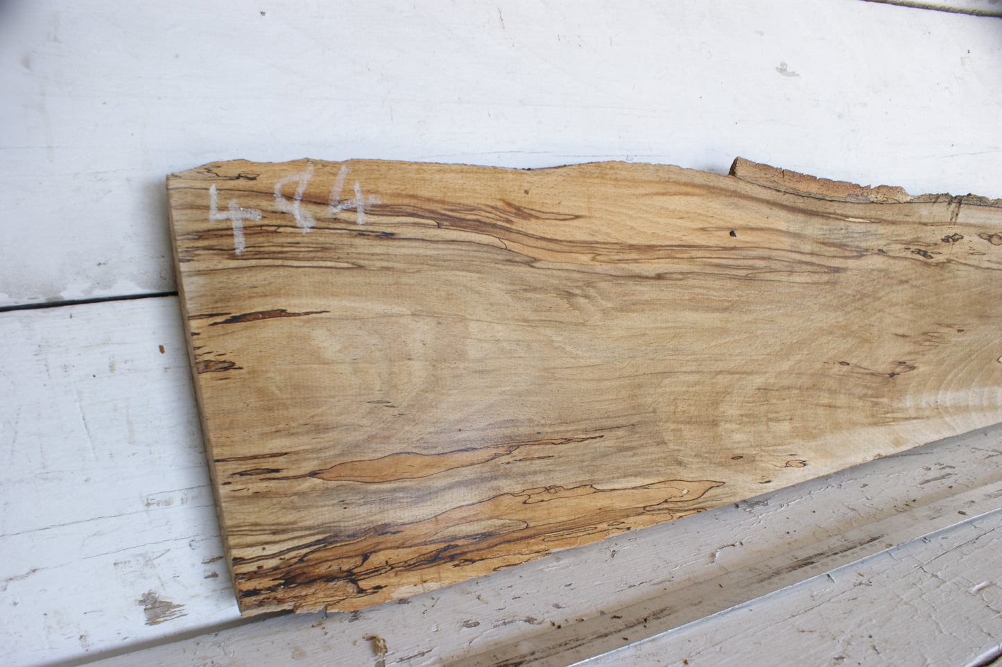 (484) SPALTED BEECH, HARDWOOD TIMBER, 1093 L x 256 - 180 W x 34 D (mm)