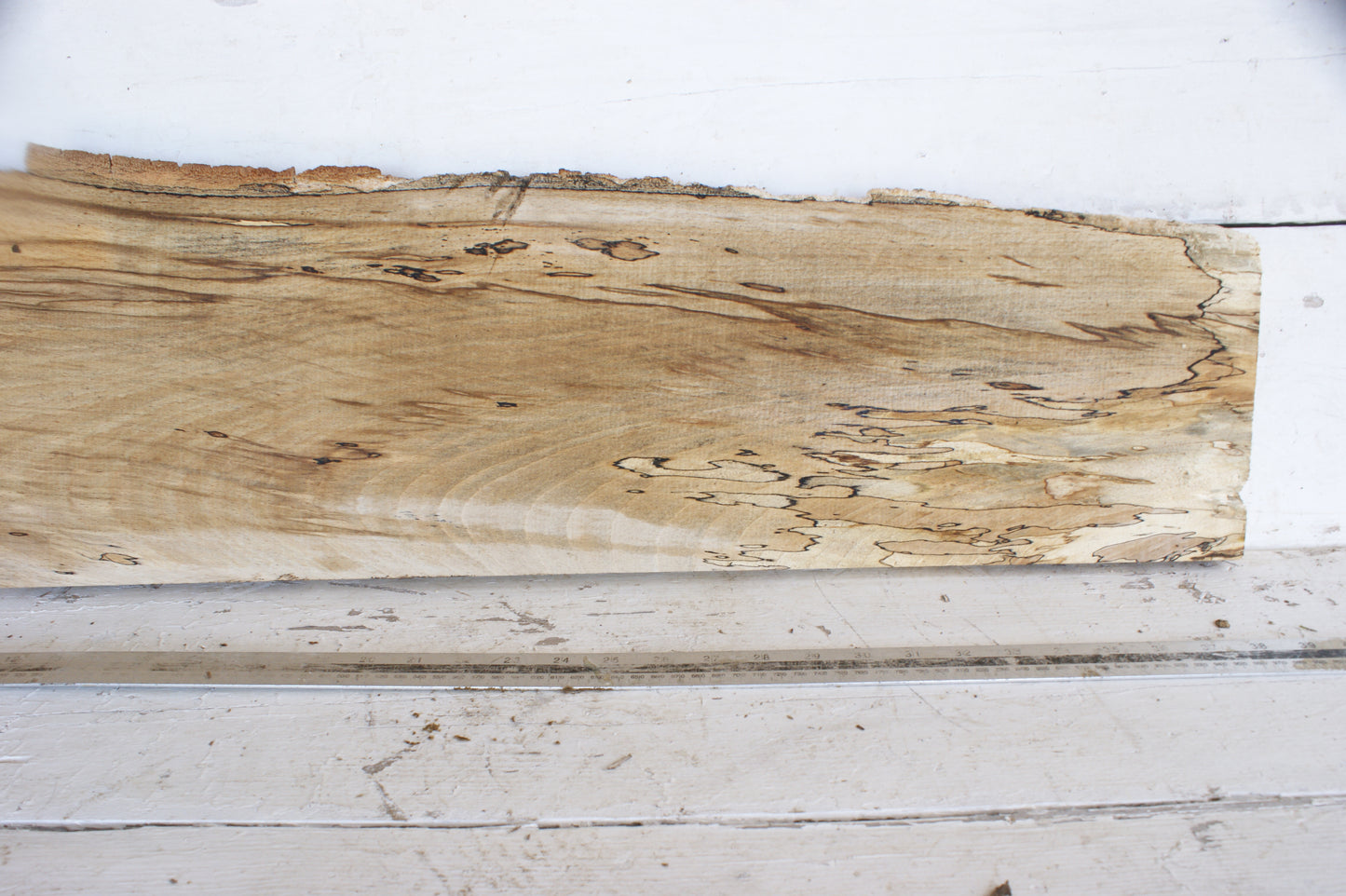 (484) SPALTED BEECH, HARDWOOD TIMBER, 1093 L x 256 - 180 W x 34 D (mm)
