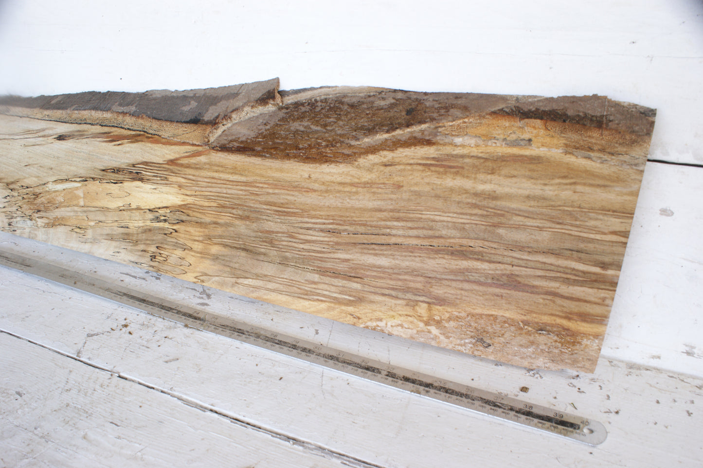(484) SPALTED BEECH, HARDWOOD TIMBER, 1093 L x 256 - 180 W x 34 D (mm)