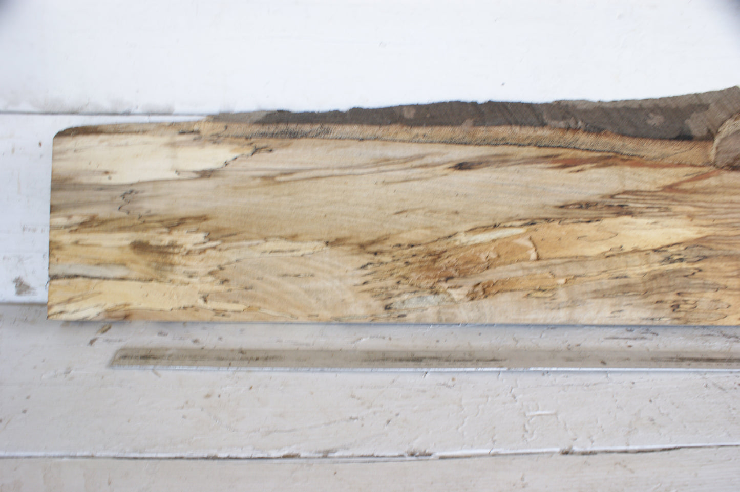 (484) SPALTED BEECH, HARDWOOD TIMBER, 1093 L x 256 - 180 W x 34 D (mm)