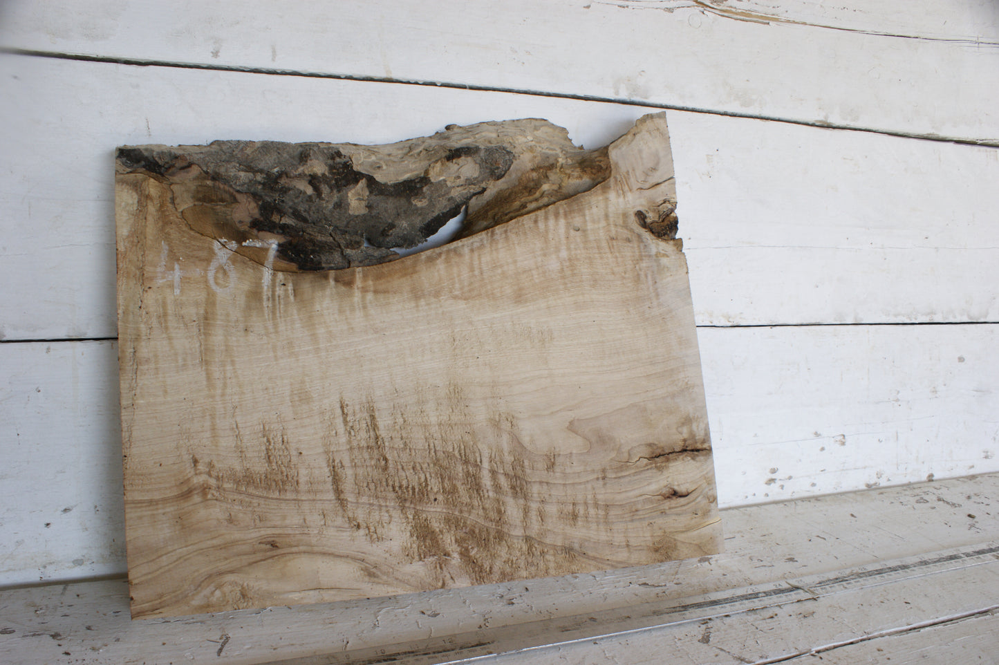 Hornbeam plank, 484 L x 417 - 365 W x 41 D (mm) hardwood board (487)