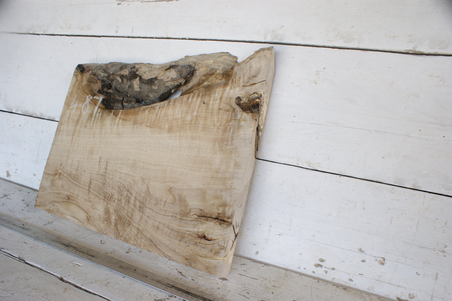 Hornbeam plank, 484 L x 417 - 365 W x 41 D (mm) hardwood board (487)