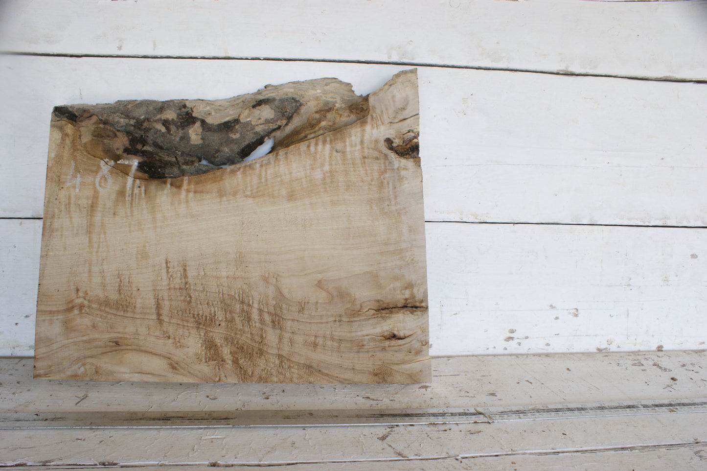 Hornbeam plank, 484 L x 417 - 365 W x 41 D (mm) hardwood board (487)