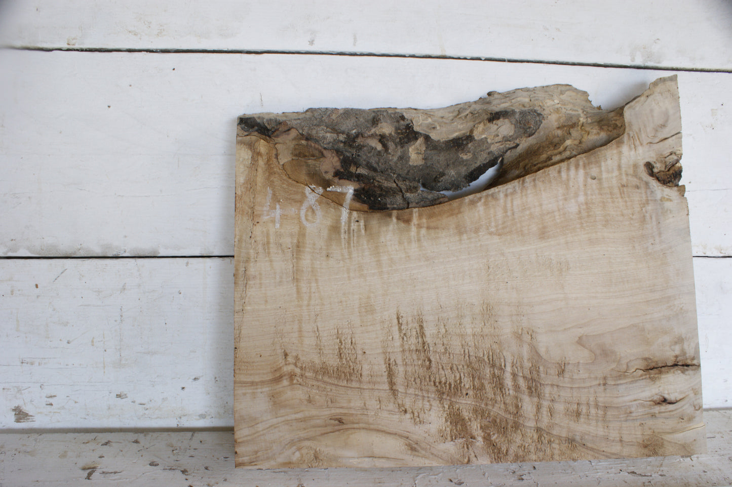 Hornbeam plank, 484 L x 417 - 365 W x 41 D (mm) hardwood board (487)