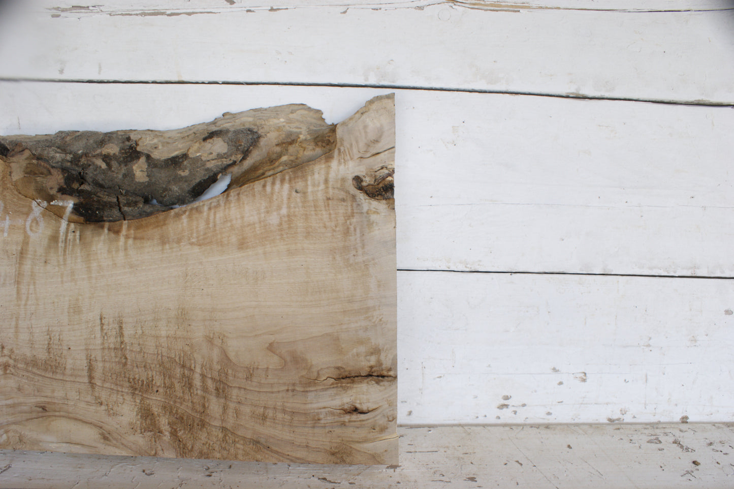 Hornbeam plank, 484 L x 417 - 365 W x 41 D (mm) hardwood board (487)