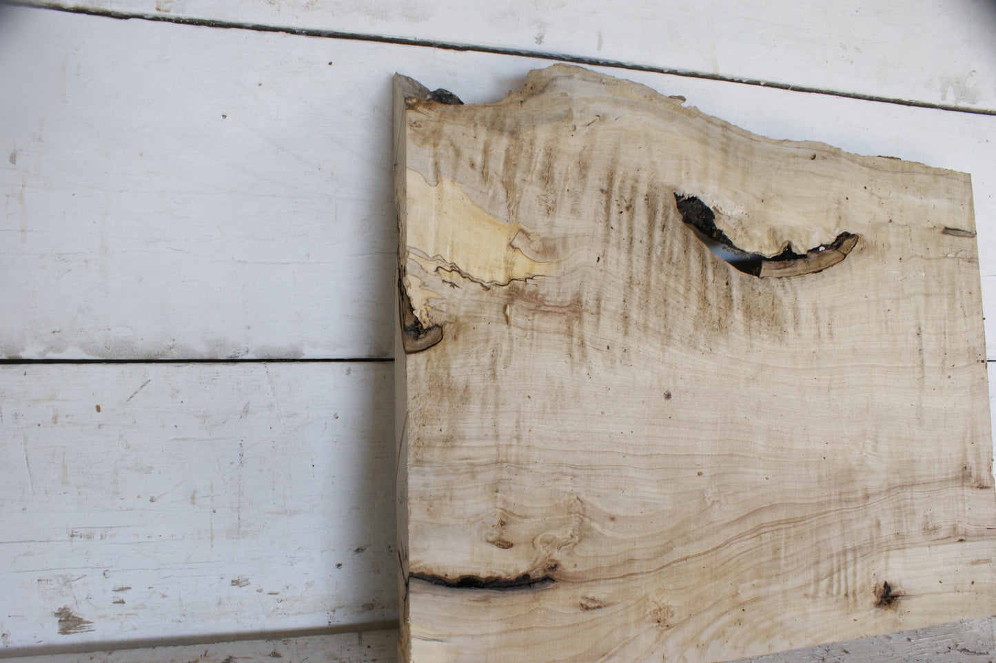 Hornbeam plank, 484 L x 417 - 365 W x 41 D (mm) hardwood board (487)